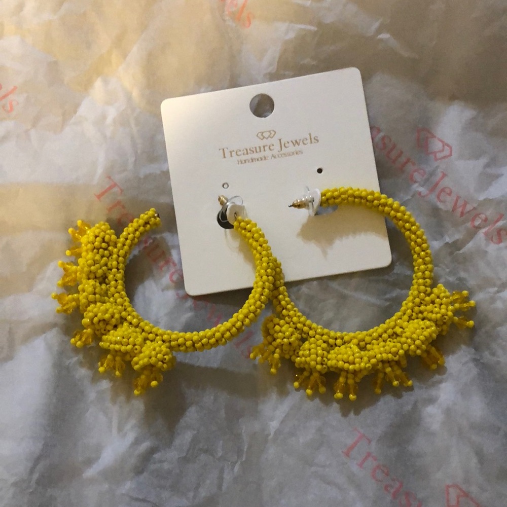 Beautiful Treasure Jewels earrings